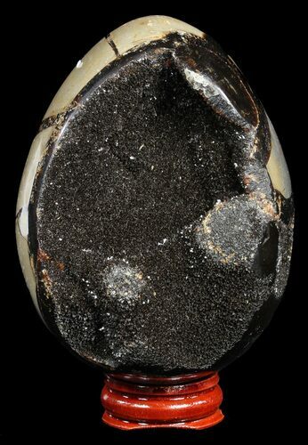 Septarian Dragon Egg Geode - Black Crystals #54557